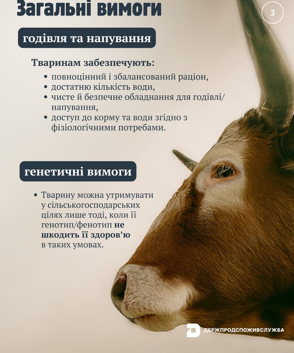 На Кiровоградщинi починають дiяти новi вимоги до благополуччя сiльськогосподарських тварин