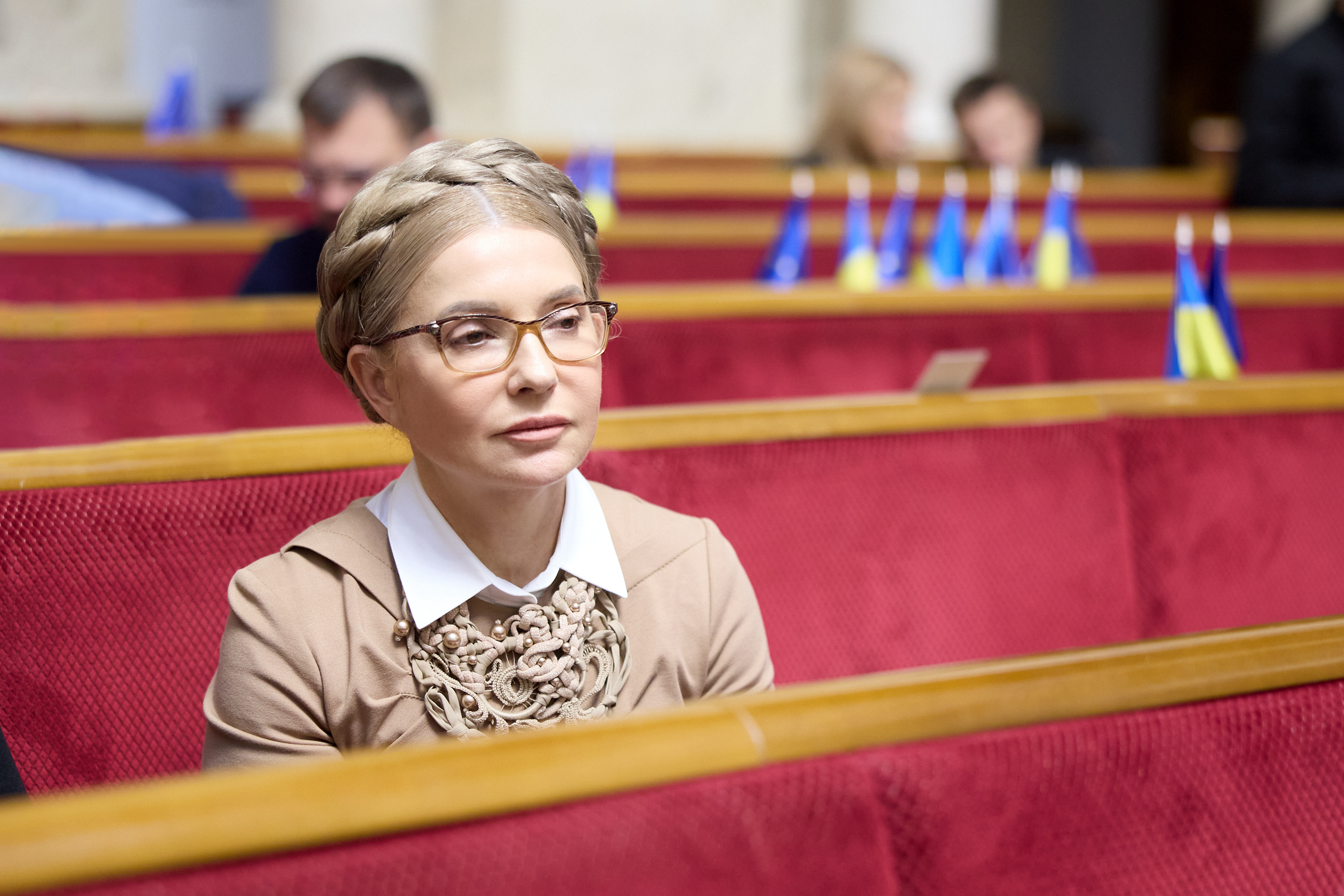 «Батьківщина» виступила на захист ФОПів від податкового навантаження