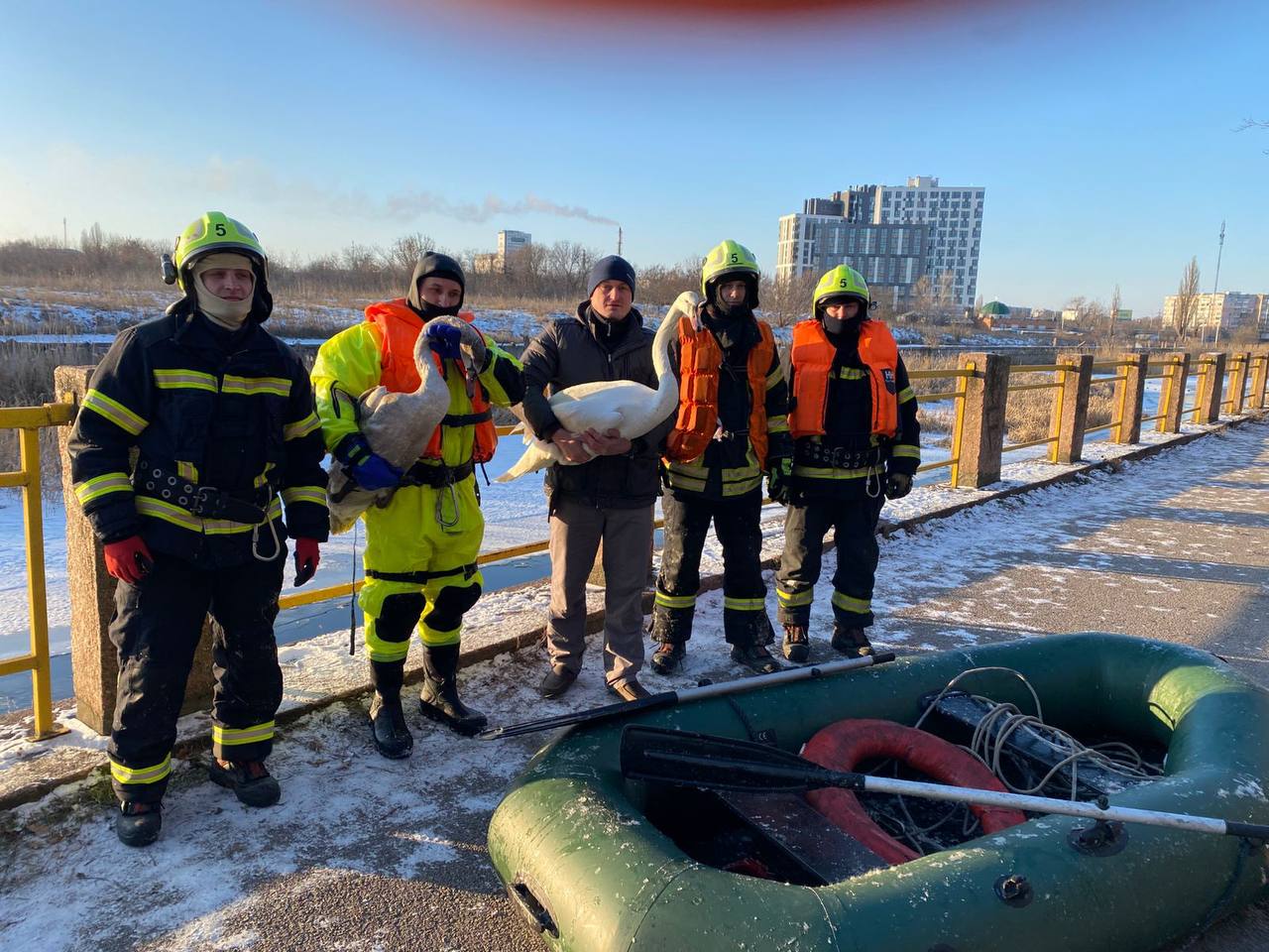 Рятувальники та волонтери Кропивницького провели операцію з порятунку лебедів