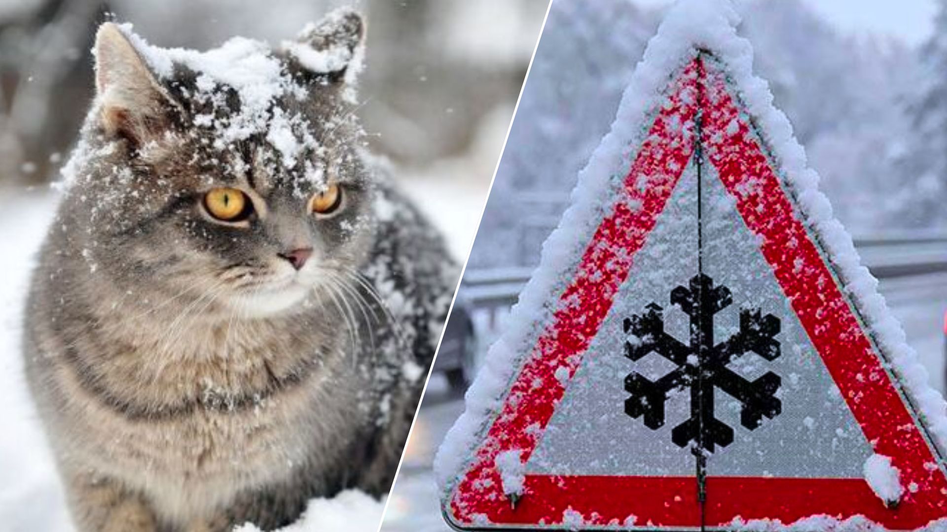 Сьогодні на Кіровоградщині «прогріється» до -11 градусів