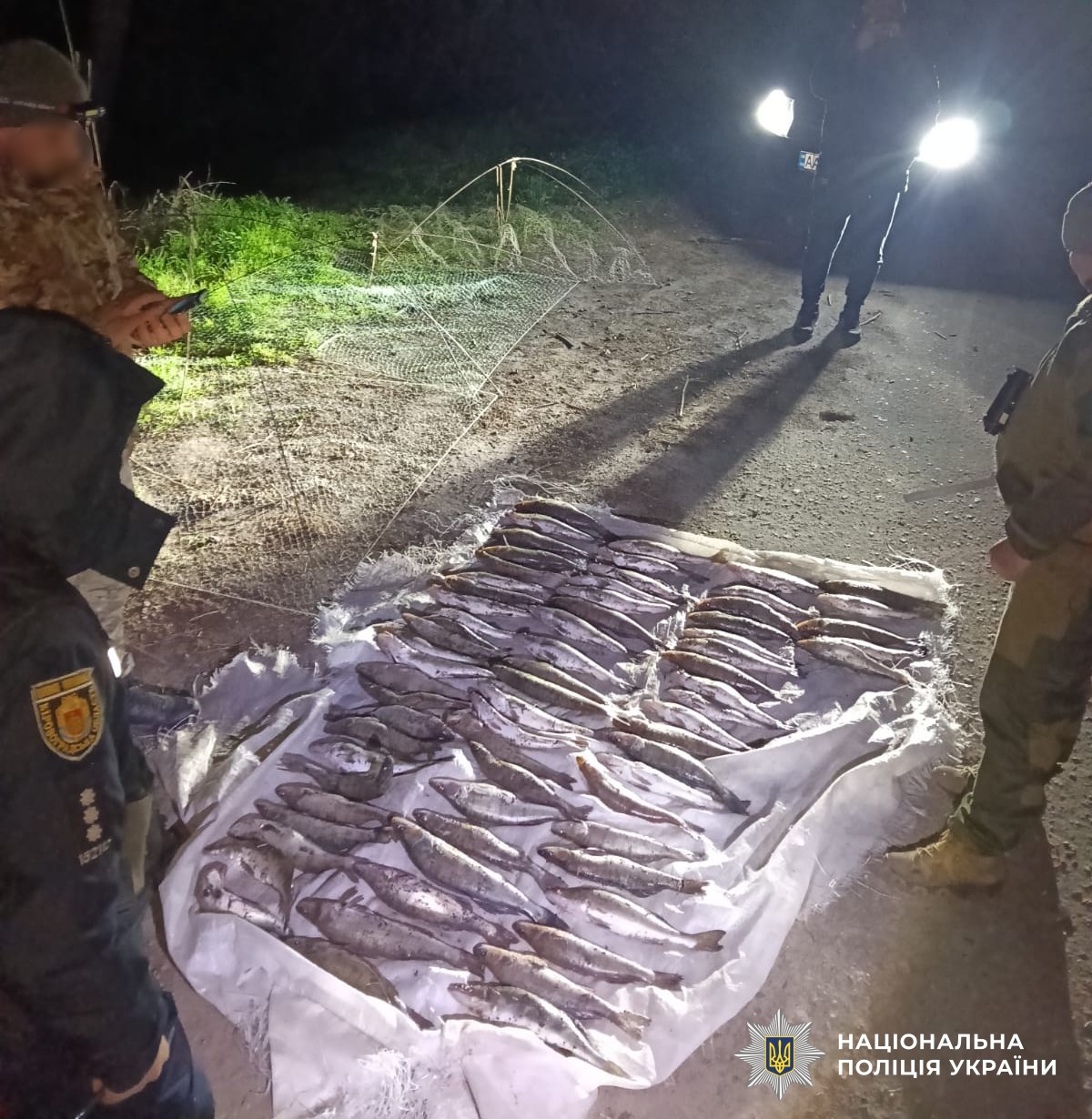 Житель Кiровоградщини незаконно наловив судака на 200 тисяч