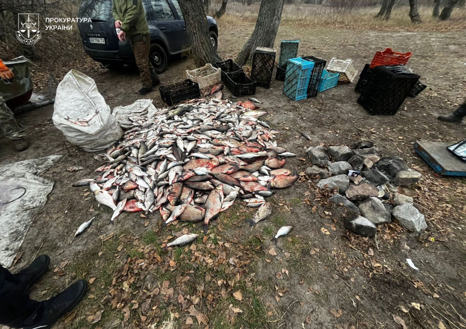 На Кіровоградщині повідомили про підозру браконьєру-рецидивісту