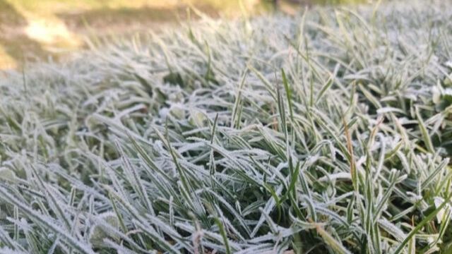 Жителів Кіровоградщини попереджають про заморозки