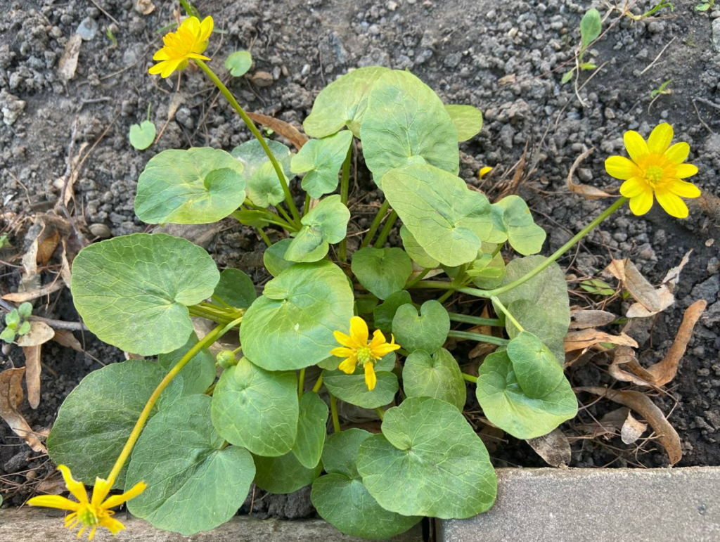 Прогноз погоди на 14 квітня по Кіровоградщині