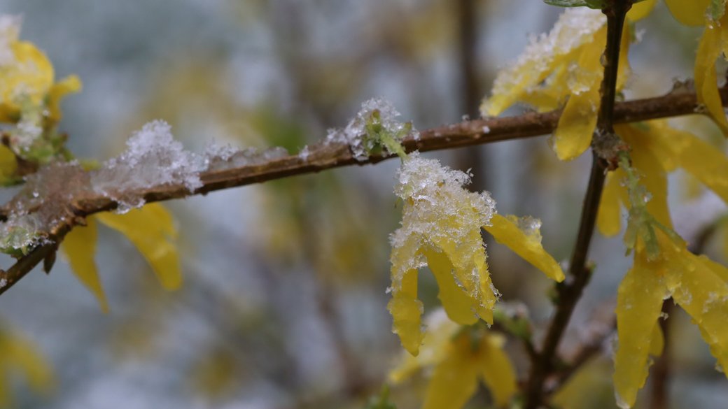 Прогноз погоди на 10 квітня по Кіровоградщині