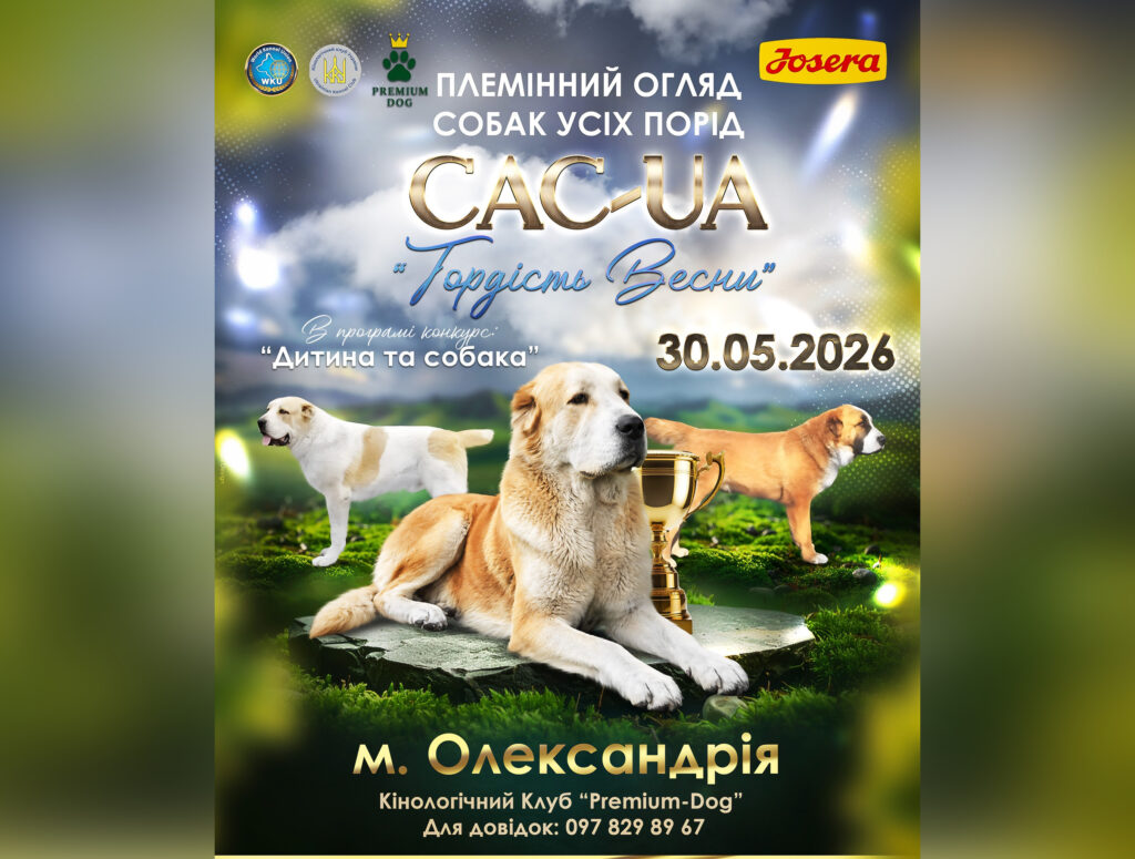 На Кiровоградщинi вiдбудеться племiнний огляд породистих собак
