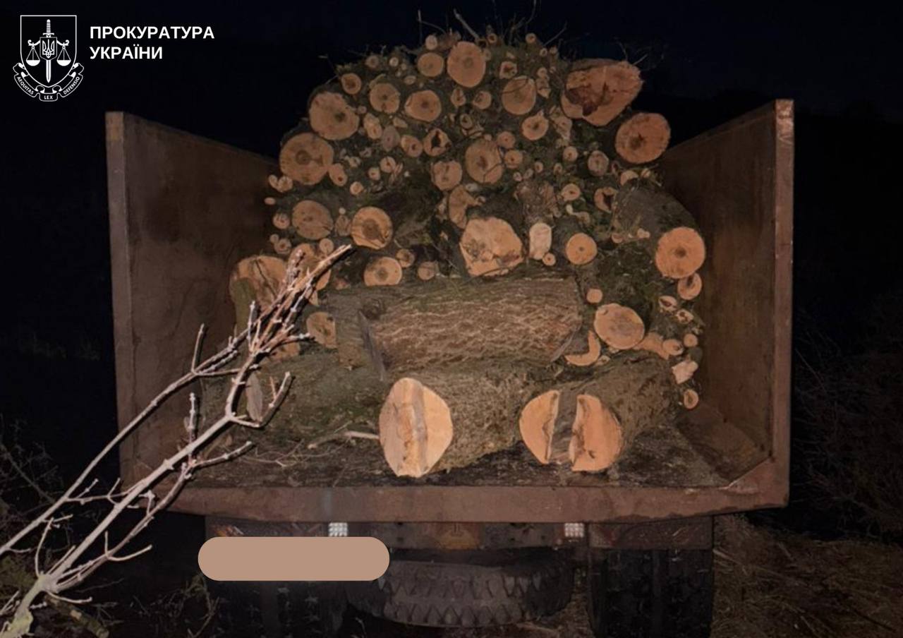 Жителя Кіровоградщини звинувачують у незаконній вирубці лісу