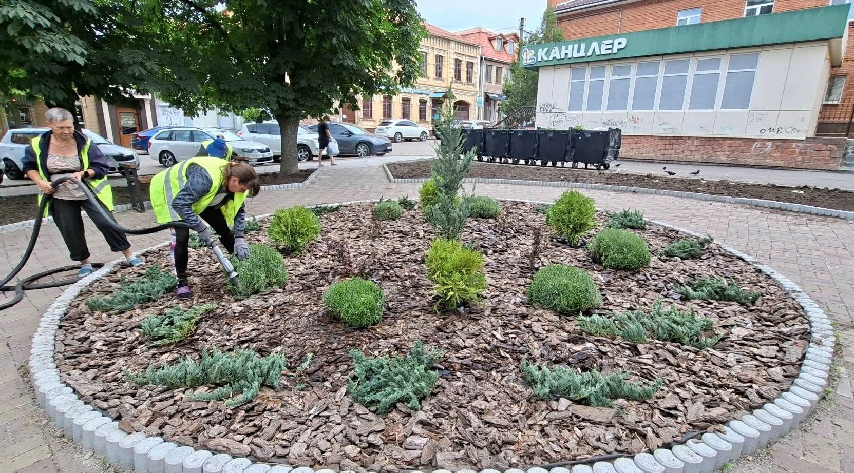 У Кропивницькому створили нову  декоративну зелену зону