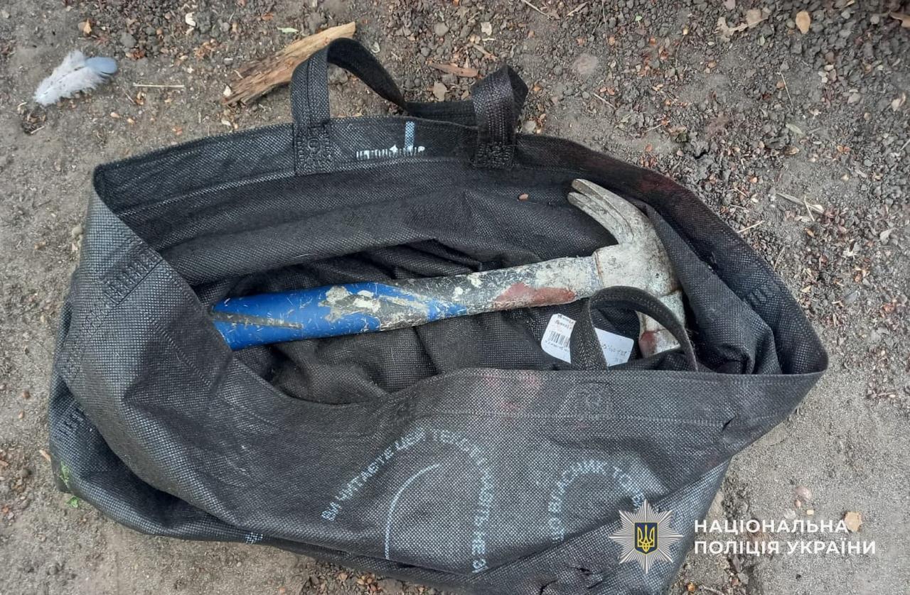 Гастролери з Кіровоградщини ледь не вбили пенсіонерку на Дніпропетровщині: справу передано до суду