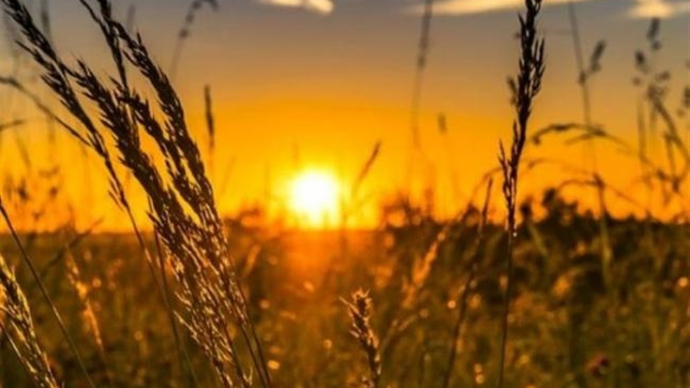 Спека під прикриттям гроз: що підготувала синоптична кухня для Кропивницького та області