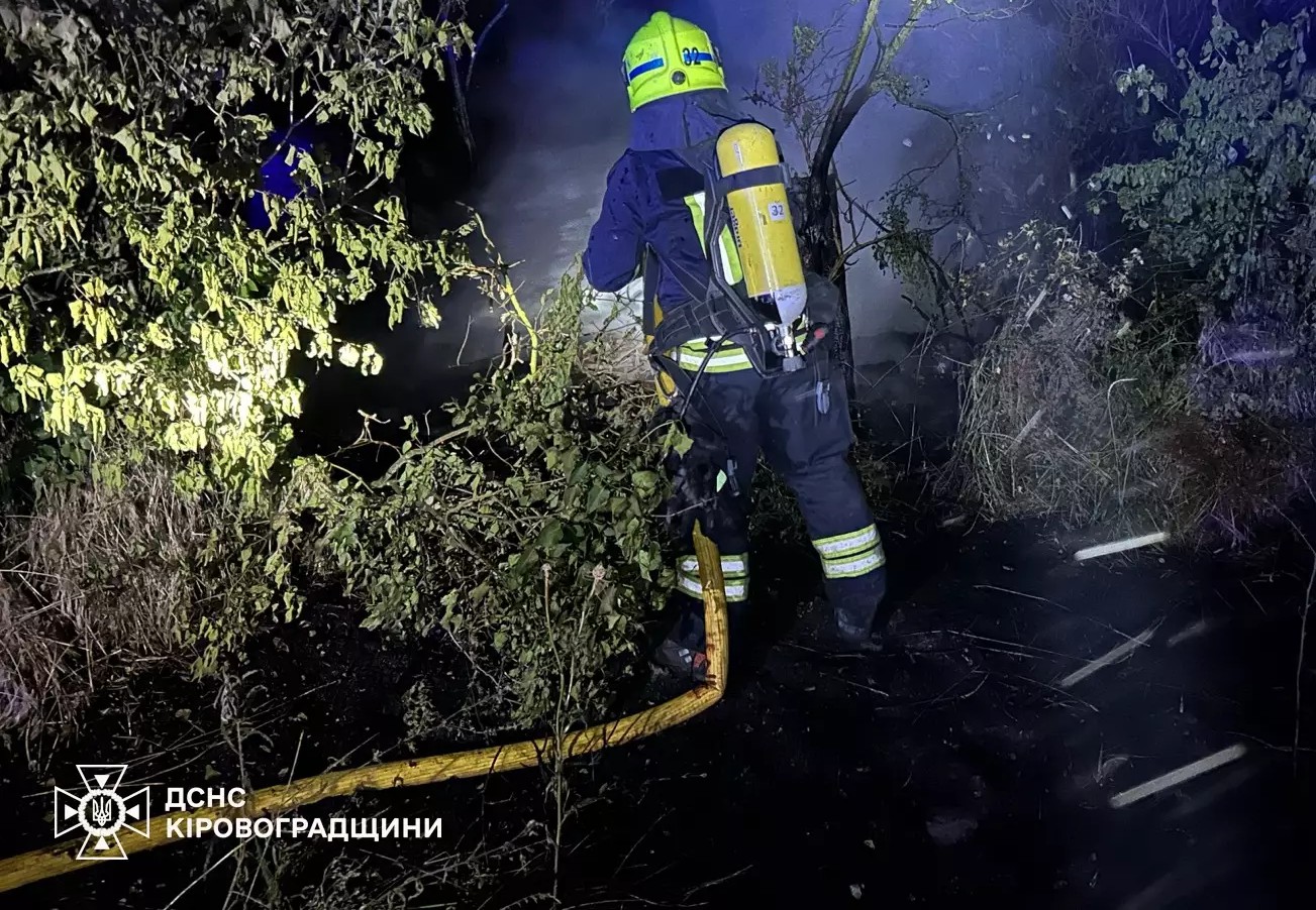 Рятувальники Кіровоградщини закликають зупинити спалювання сухостою через десятки пожеж за добу (ФОТО)