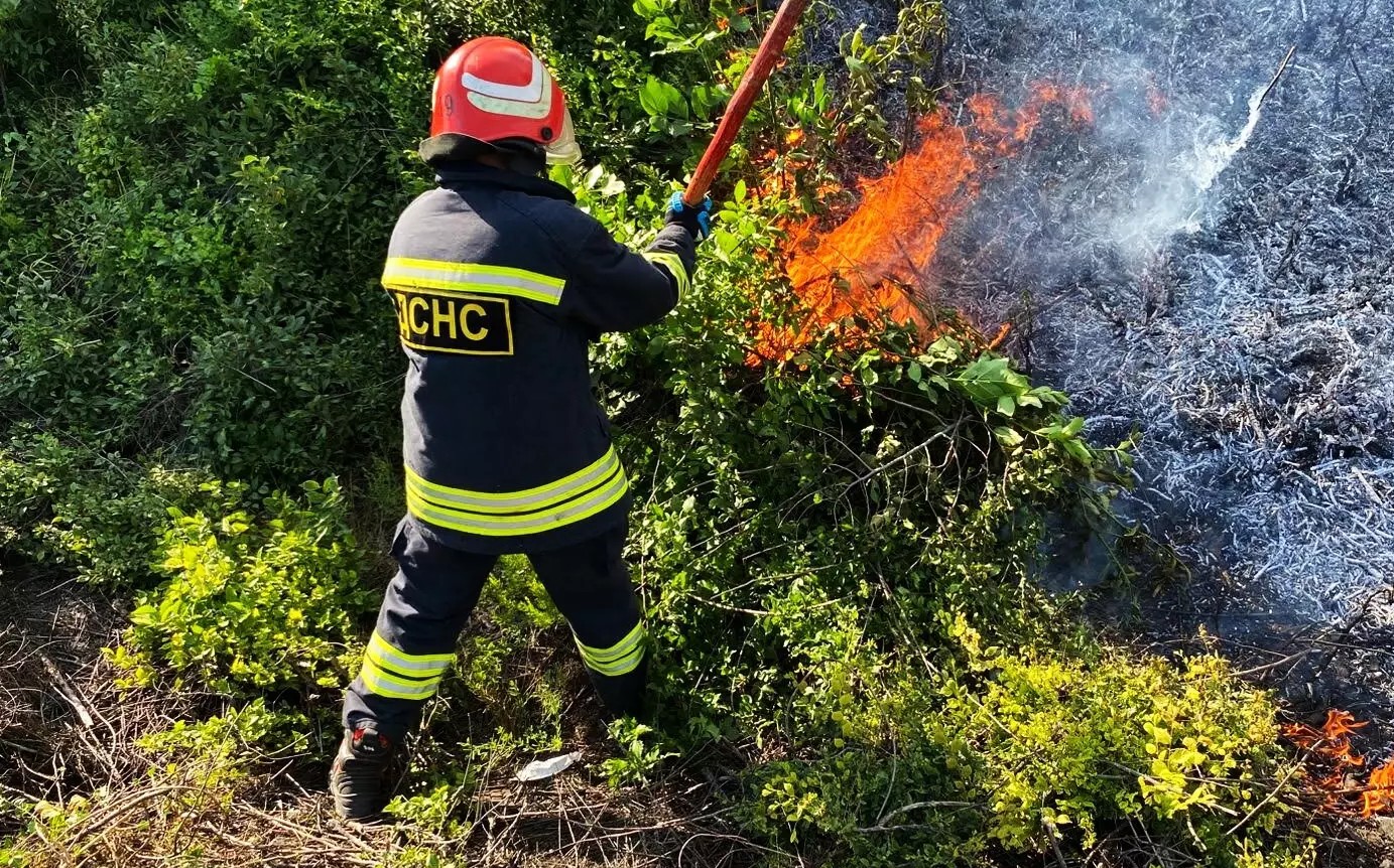 Рятувальники Кіровоградщини закликають зупинити спалювання сухостою через десятки пожеж за добу (ФОТО)