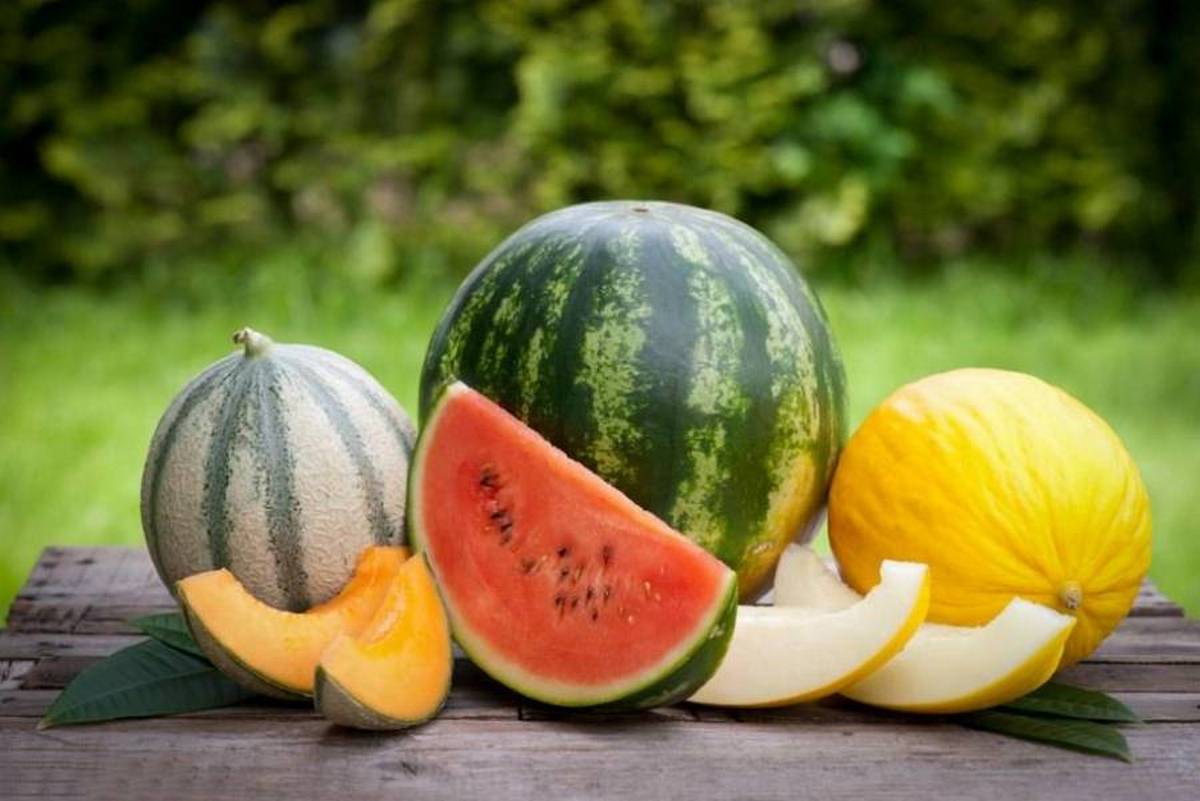 До +31°C та без опадів: якою буде погода на Кіровоградщині 10 серпня
