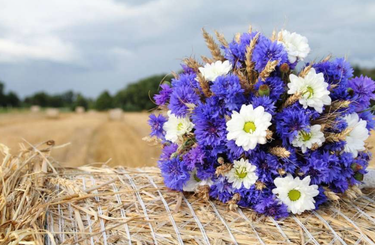 На Кіровоградщині 23 серпня очікують тепло та грози