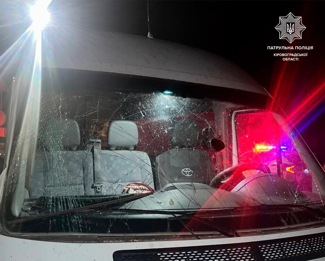 На виїзді з Кропивницького Mercedes-Benz Sprinter вилетів у кювет та перекинувся