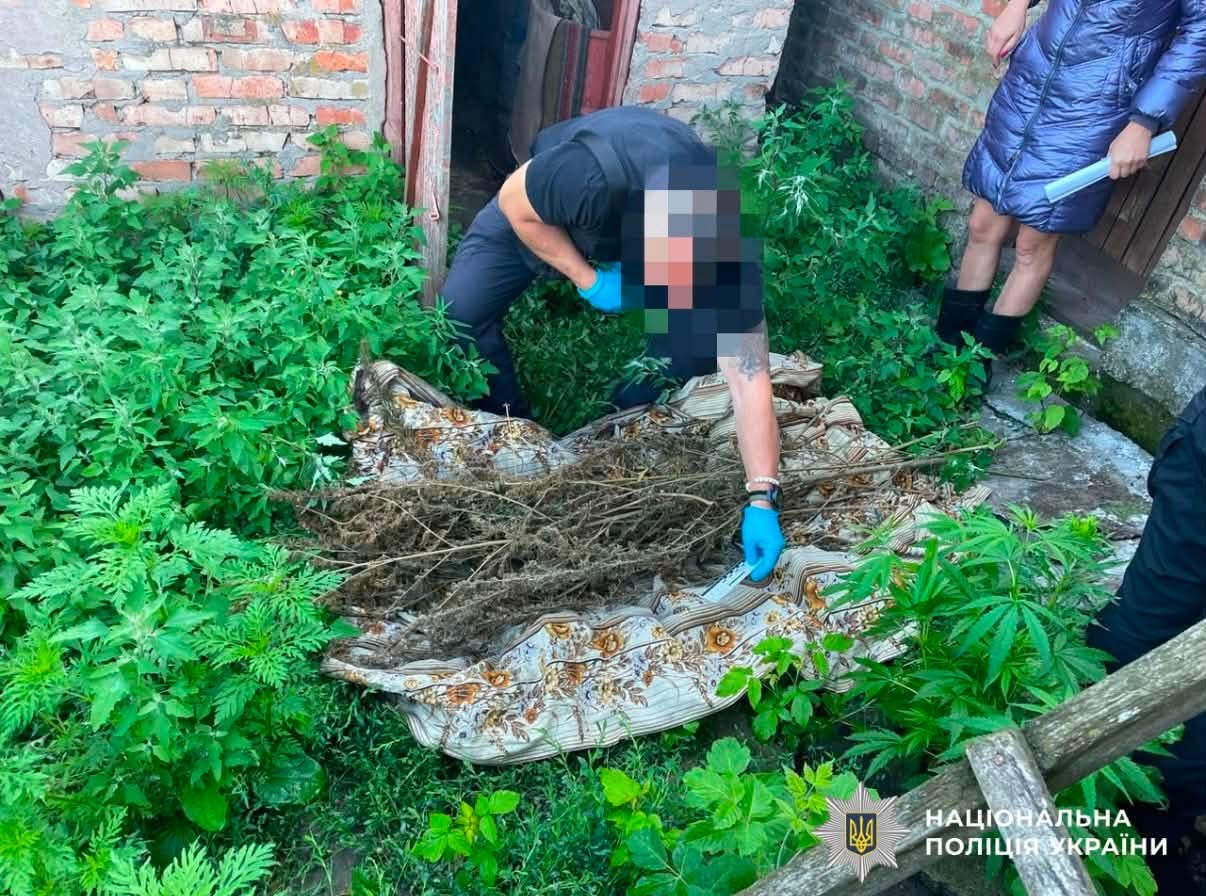 На Кіровоградщині накрили масштабну мережу наркоділків
