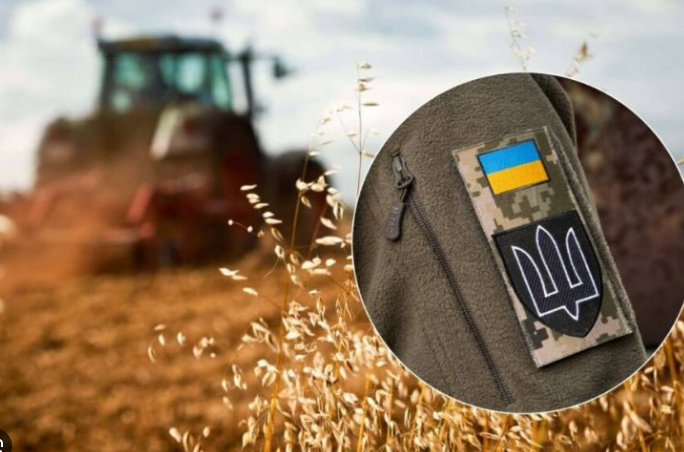 Менше 200 гектарів — не перешкода для бронювання: в Україні змінили критерії для агропідприємств
