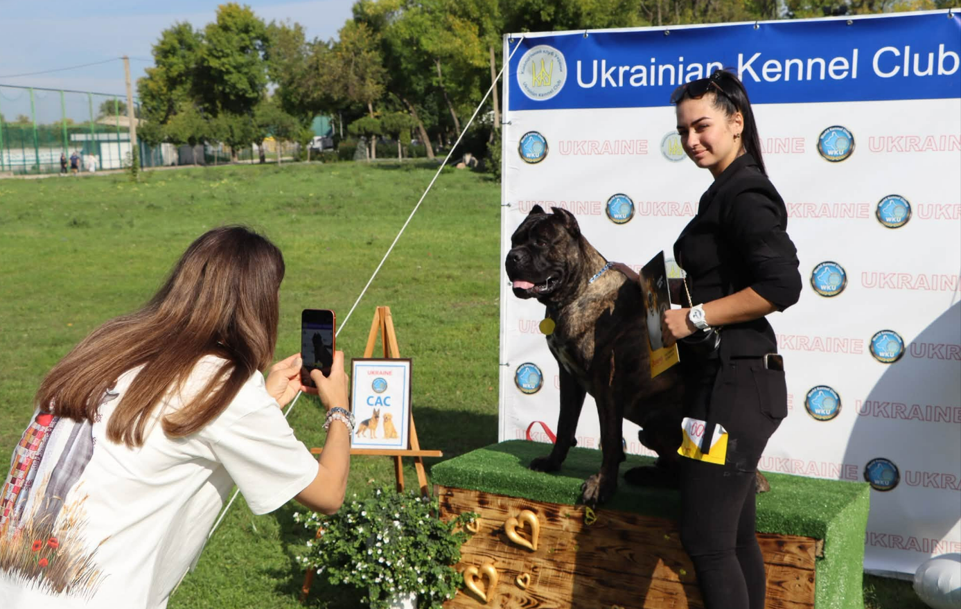 На Кіровоградщині влаштували змагання для собак та дітей
