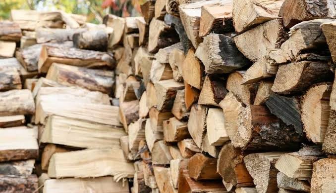 На Кіровоградщині стрімко зріс попит на дрова: актуальні ціни та як оформити замовлення