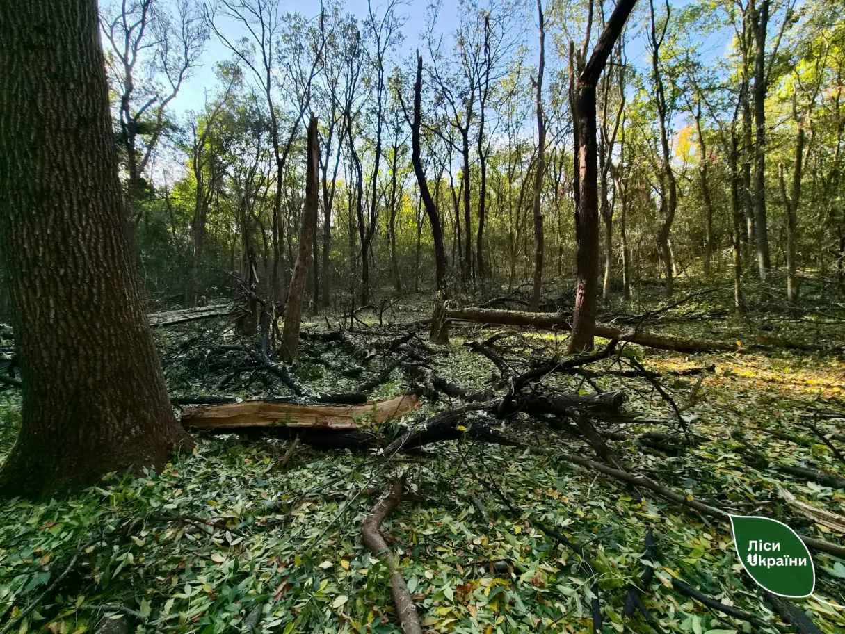 Ворожий обстріл пошкодив лісництво на Кіровоградщині